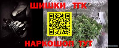 герыч Камышлов