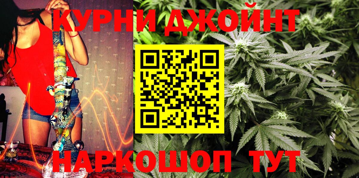 Канабис ГИДРОПОН Курск